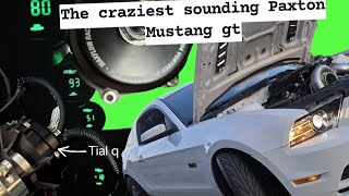 730whp Paxton Supercharged Mustang GT w/ tial/maxflow race dual bpv's sound [Most insane setup???]