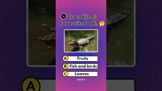 Crocodile favourite food 😲🤯. #shorts #animalquiz #quiz