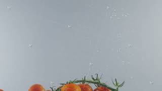 A branch of cherry tomatoes falling into transparent water on light grey wall background. Action