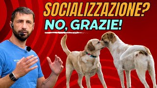 Socializzazione?! No grazie.