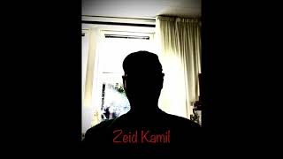 Zeid Kamil - Delusional