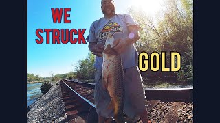 James River Catfish & Carp Adventure #carpfishing #catfish