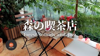 Ambient sounds + JAZZ Gentle Forest sounds Relaxing work/study CAFE MUSIC - BGM for work☕