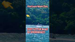 FAST LITTLE Boat? Or SPEEDBOAT?