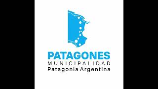 informacion oficial de Patagones