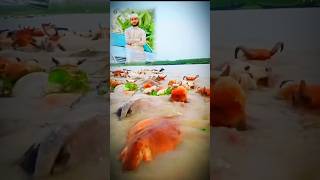 পানিতে মাহিষ গুলো ভেসে যাচ্ছে #qari_abu_rayhan #shortvideo #share #shortsyoutube #foryou