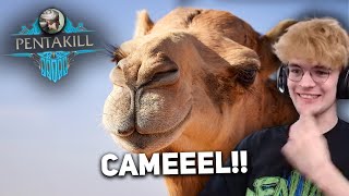 camel toplane (the meme) | YamatosDeath