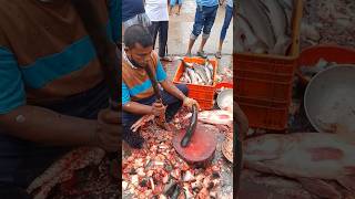 Amazing Pangash Fish Cutting Skills #ytshorts#shorts_videos  #Fish Cutting 💥💥