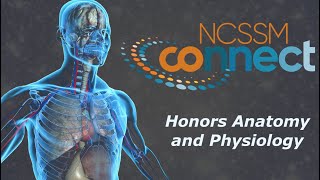 Honors Anatomy and Physiology - NCSSM Connect