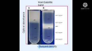 Satellite DNA & Ac/Ds Transposable Elements