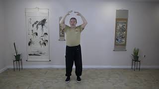 Medical Qigong:  Spring Season and the Liver