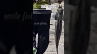 THR tahun ini!! barramundi#mancing_pinggiran#shorts