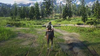 RED DEAD REDEMPTION 2 PS4 [Free Roam Gameplay]