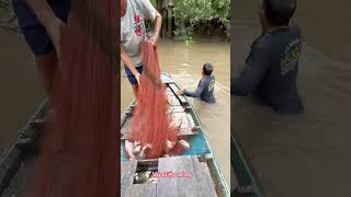 Sư Phụ Chài Cá Khủng Hoảng Rồi. Crisis Fishing Master