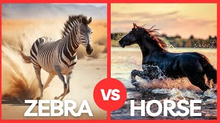 Horse vs Zebra: Stripes, Speed, and Surprising Similarities