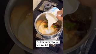 Pudine wali chai pi hai kabhi?☕️ Refreshing mint tea #shorts #tea #tealover #viral #trending #short