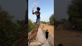 Big Eagle 🦅 ko pakad Lia #minizoo #pets #minivlogs #eagle