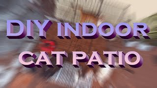 DIY Indoor Cat Patio