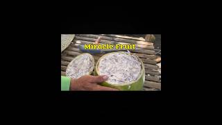 PHILIPPINES MIRACLE FRUIT #viral #trending   #dailyvlog #fruit #highlights