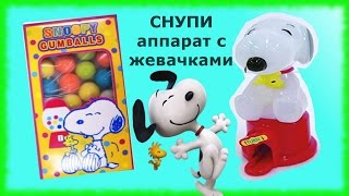 Веселый СНУПИ - аппарат с жевачками ∪＾ェ＾∪ Снупи собака