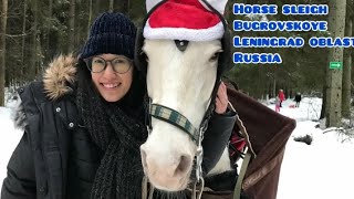 Horse Sleigh in Bugrovskoye, Leningrad Oblast, Russia