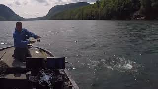 Lake willoughby Vermont rainbow trout