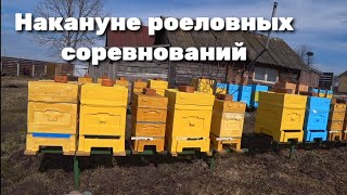 Накануне соревнований