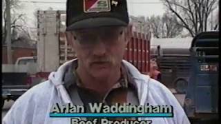 3/28/1990 - Arlyn Waddingham, Klemme Iowa, Interviewed on KIMT TV3