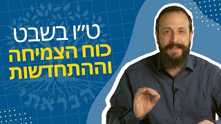 ט״ו בשבט - זמן של התחדשות