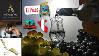 El Pisco P1  | La bebida alcohólica del Perú  | Descubriendo el Perú 10