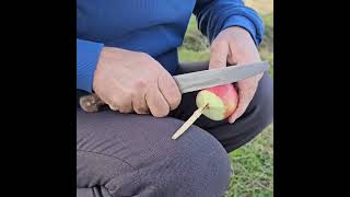 Apple Propeller