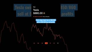 Tesla TSLA stock east profits low risk #finance #elonmusk #stock #investing #stockmarket #money