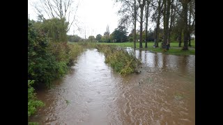 Sanders Park Flooded