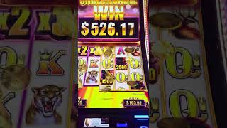 Huge Max Bet Win on Wild Wild Buffalo slot machine @ Live Casino! Bonus Max Bet Multiplier