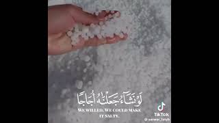 Surah waqiya with English translation Ayat 68-72