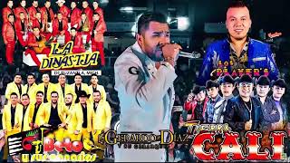 EXITOS MIX PURO TIERRA CALIENTE 2022🎶Los Costeños, Los Player's, Tierra Cali , La Mark,Gerardo Díaz