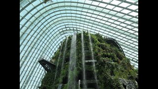 Cloud Forest Singapore