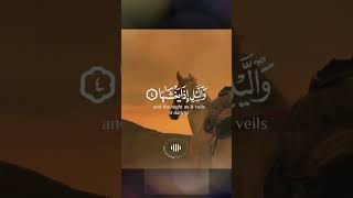 تلاوة قرآنية رائعة من #سورة_الشمس بصوت المبدع ورائع #شريف_مصطفى تلاوة  عطرة #قرآن #quran #shorts