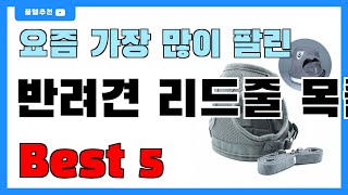 요즘 필수템! 반려견 리드줄 목줄 추천 Best5!! || 가격 비교 가성비 순위