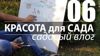 КАК САЖАТЬ, КАК ПОЛИВАТЬ РАСТЕНИЯ НА РАЗНЫХ ПОЧВАХ.