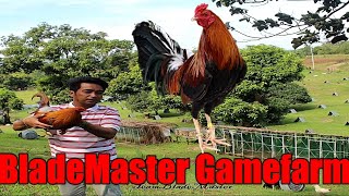 Lets Visit The Farm Of Blade Master Gamefarm