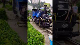 Toy Train Himalaya | Darjeeling hills #darjeeling