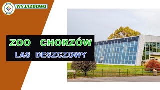 ZOO Chorzów - [Las Deszczowy]