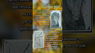 ТГ ДРАКОНЬЯ РУНА #руны #руныобучение #таро #таролог #руныгадание #магия #runes #tarot