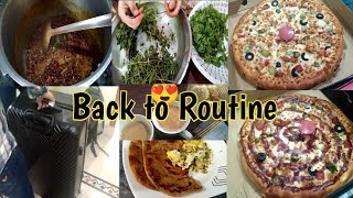 Back to Routine After Eid | Bhai ko Airport Chorne gaye | Daily Routine