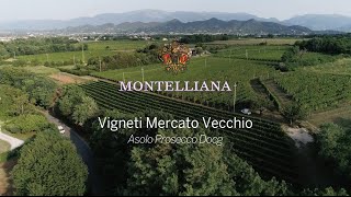 Vigneti Mercato Vecchio