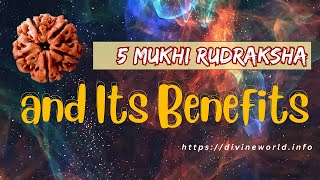 5 Mukhi Rudraksha and Its Benefits