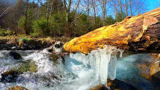 Melting Snow | True Nature | Beautiful Nature