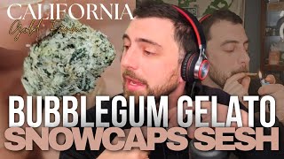 Trying Bubblegum Gelato THCA Snowcaps by California Gold Farms | Jerry Juice Review