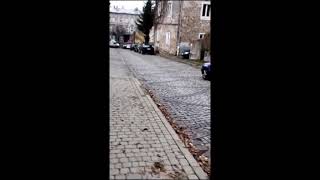 Вороны и грачи на старой улице Пшемысля  Crows and rooks on the old street of Przemyśl